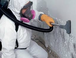 Best Comprehensive Air Testing for Mold Contaminants  in Morrisville, NY